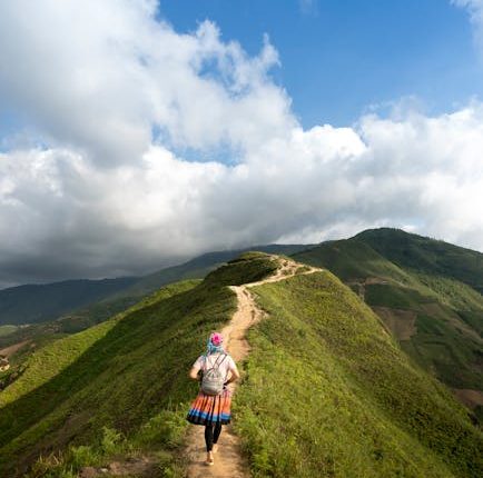 walking dead new season when